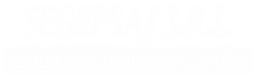 Logo de Segepsaj SRL - Geosintéticos, Estructuras y Montajes